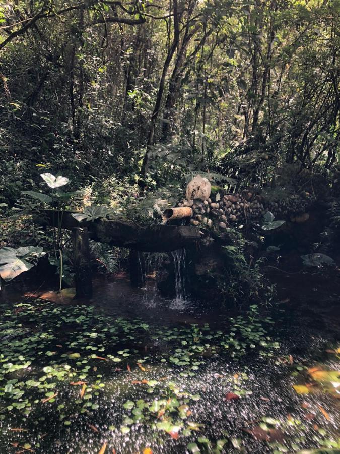 Sitio Porta Das Aguas Hotell Caxambu Eksteriør bilde